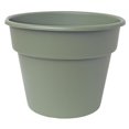 thumbnail image 1 of Bloem 6in Dura Cotta Planter Living Green DC6-42, 1 of 1