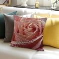 thumbnail image 3 of SHANXI Throw Pillow Covers Sofa 24x24in, 3 of 5