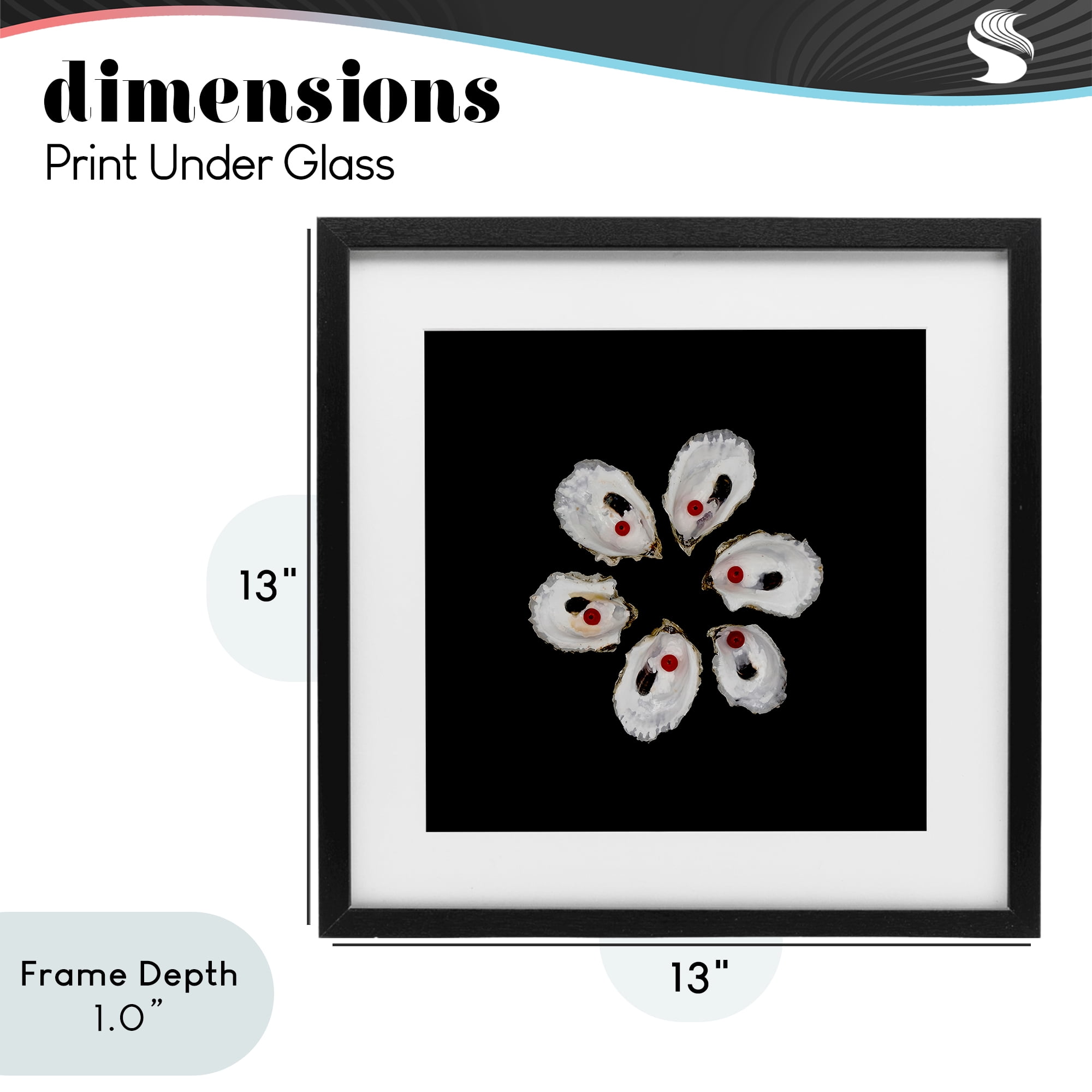 Stupell Industries Oyster Shells Symmetry Black Framed Print Under Glass, design by Beth Adoette