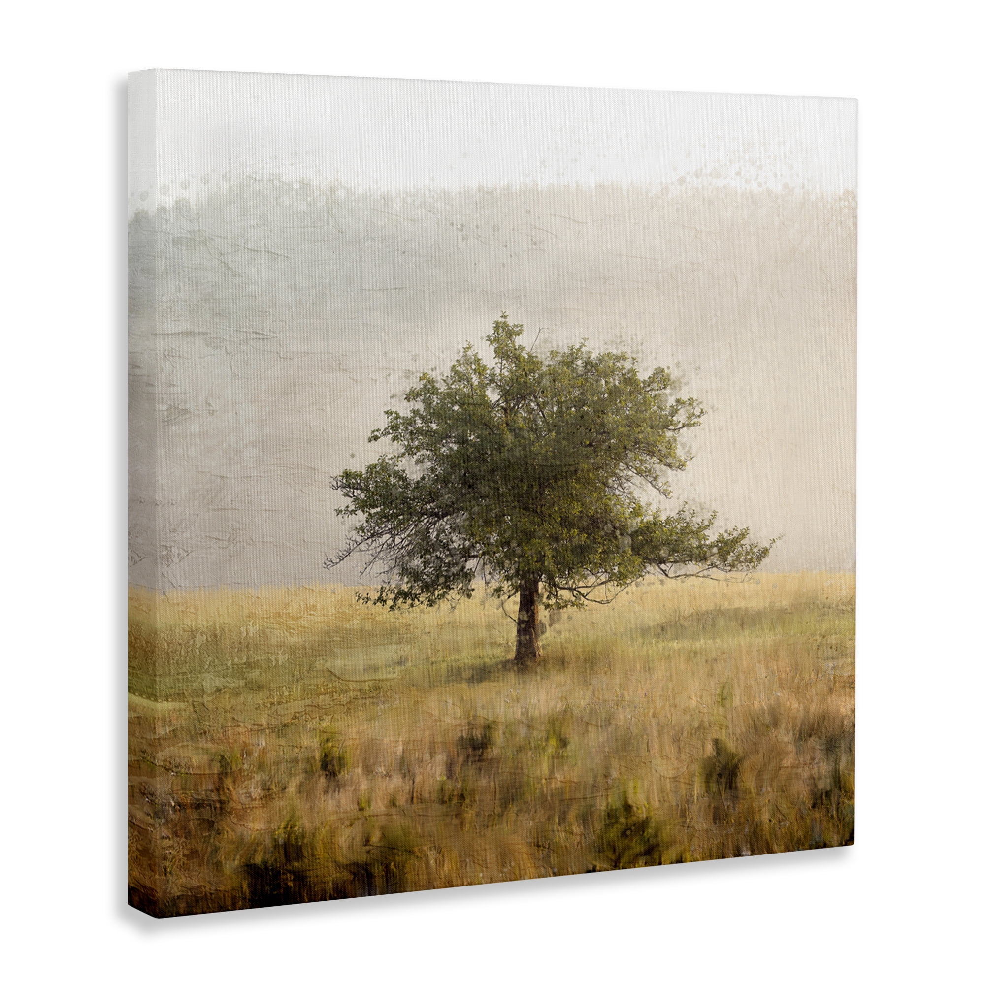 Stupell Industries Tree Alone in Golden Field Canvas Wall Art, design by Anne Bailey