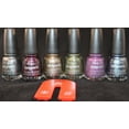 thumbnail image 2 of China Glaze Attraction 80605 Magnetic Nail Polish, 2 of 3