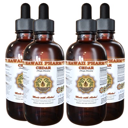 Western Red Cedar (Thuja Plicata) Tincture, Dried Tips Liquid Extract, Giant Cedar, Herbal Supplement 4x4 oz