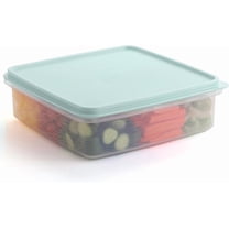SIGNORAWARE 3 L Airtight Food Storage Container with Lid – Blue