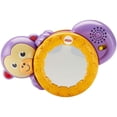 thumbnail image 4 of Fisher-Price 1-2-3 Crawl Along Monkey, 4 of 7