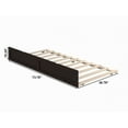thumbnail image 5 of AFI Twin Roll Out Wood Trundle Bed Frame with Wooden Slat Supports, Espresso, 5 of 6
