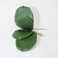 thumbnail image 1 of 11" Orchid Leaves With Root Faux Plants And Trees, 1 of 1