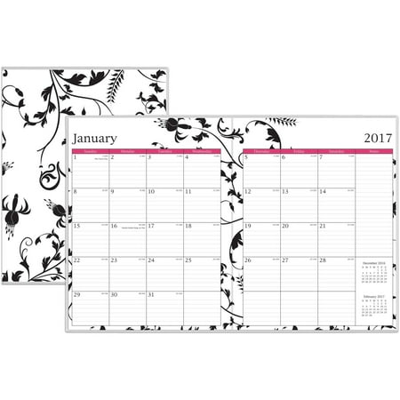 Blue Sky Analeis 8.5" x 11" Monthly Slim Planner, 2017