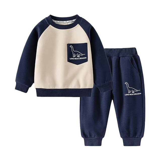 Hiiyo Tenues pour Garçons Bébé Imprimé Dinosaure Chandail en Molleton Col Rond Pantalon de Sport Survêtement