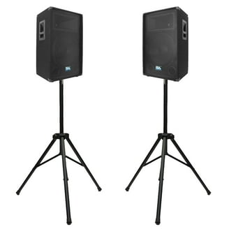 Seismic Audio Pair of Dual 15