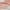 Blush Multi, variant on Intelligent Design Full/Queen Comforter Set, Shaggy Faux Fur Wave Warm Bedding Set, 3-Piece Striped Ombre Design Warm Comforter Bed Set, Blush