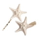 thumbnail image 1 of 2 pinzas para el pelo con forma de estrella de mar, para boda, playa, de resina, de cocodrilo, para peinados de novia, accesorios, 1 of 7