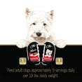 thumbnail image 3 of Cesar Minis Wet Dog Food Tender Loaf in Sauce Variety Pack Beef Flavor, 2.64 oz., 3 of 12