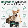 thumbnail image 3 of Worafy Activated Charcoal for Dogs & Cats, Daily Digestive Support, Helps Maintain Normal Stool & Gut Balance 4.23oz/120g, 3 of 11