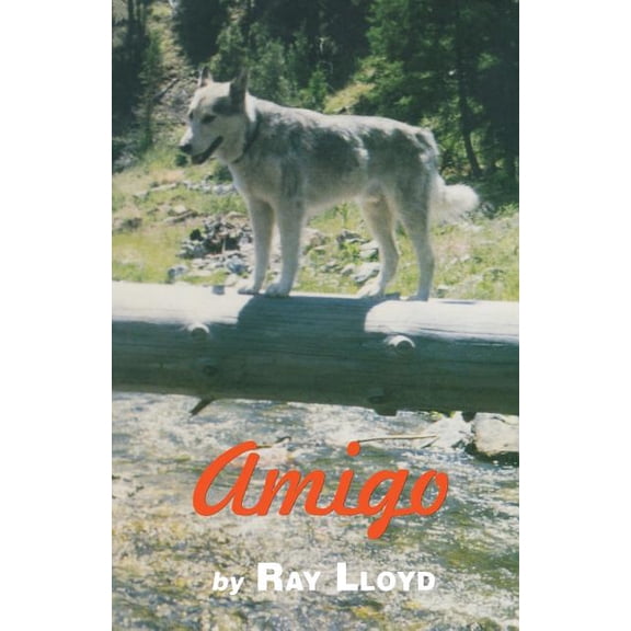 Amigo (Paperback)