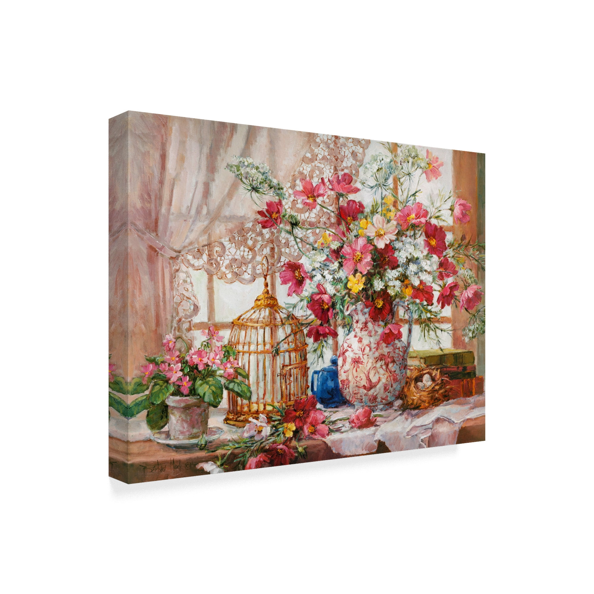 Trademark Fine Art 'Cosmos And Queen Annes Lace' Canvas Art by Barbara Mock