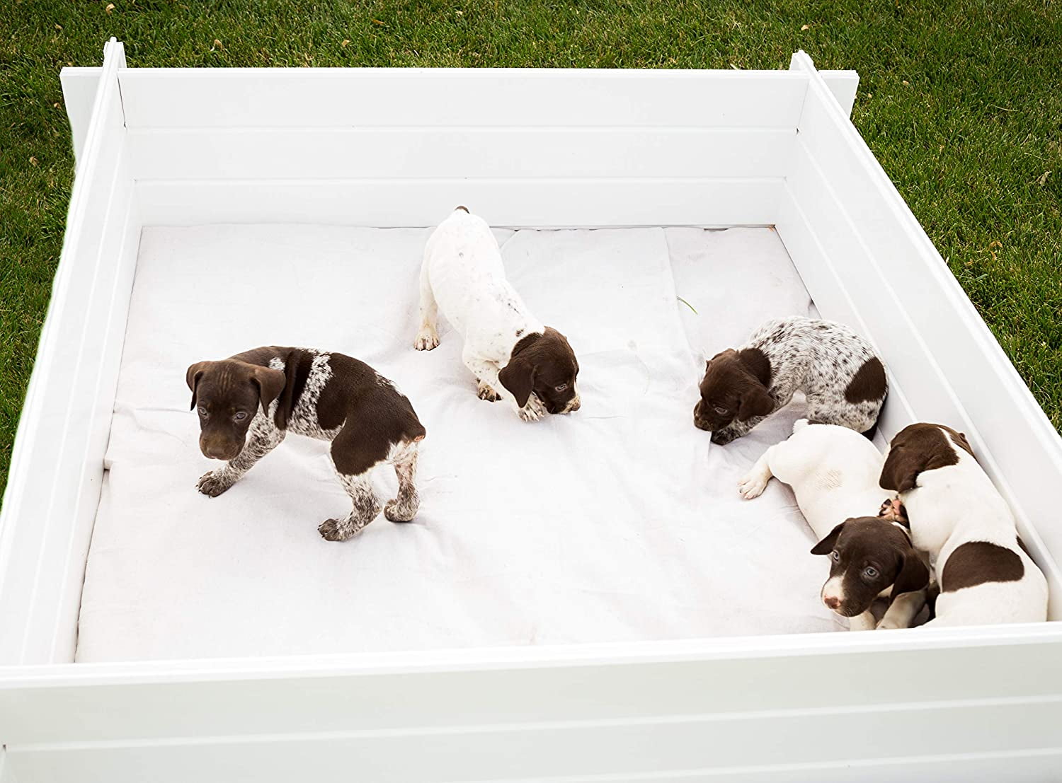 How Does A Whelping Box Work