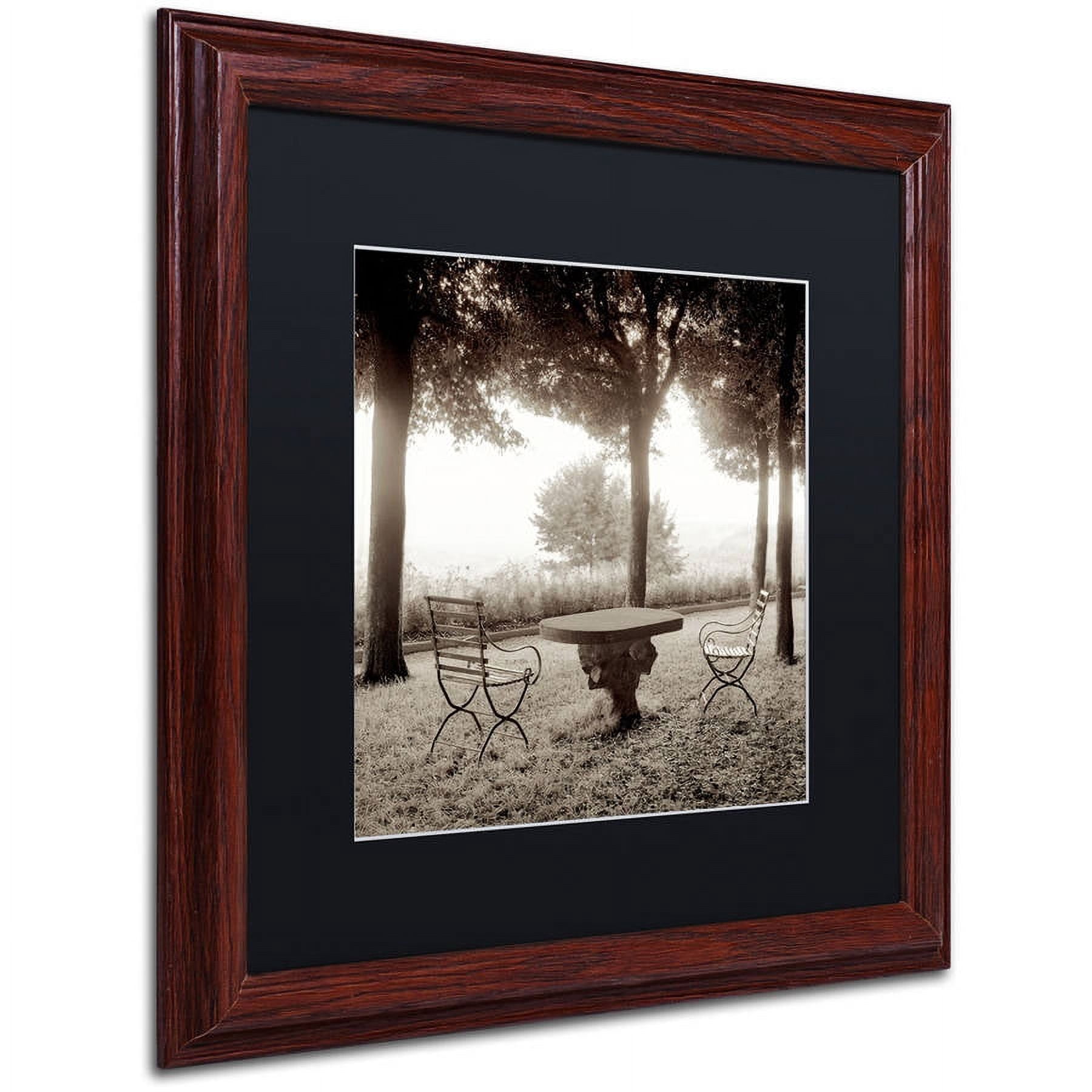 Trademark Fine Art "Fiesloe Giardini I" Canvas Art by Alan Blaustein, Black Matte, Wood Frame