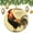 pattern-1443, variant on Christmas Tree Ornament Vintage Rooster Farmhouse Style Keepsake Gift Gift Ceramic Holiday Decoration Present Porcelain 3inch Flat with Gold Ribbon Both Sides Rooster Cocktail Christmas Ornaments