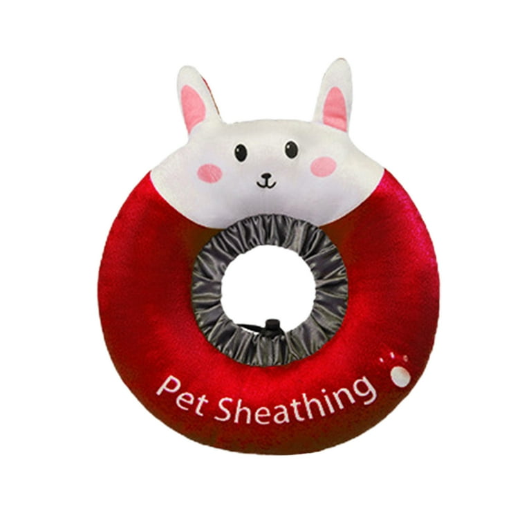 Caring for cat with elizabethan collar sale