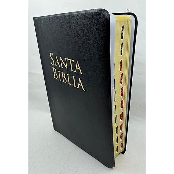 BIBLIA RVR 1960 LETRA GRANDE TAMANO MANUAL VINILO NEGRO CON INDICE 12PUNTOS Vinyl Bound