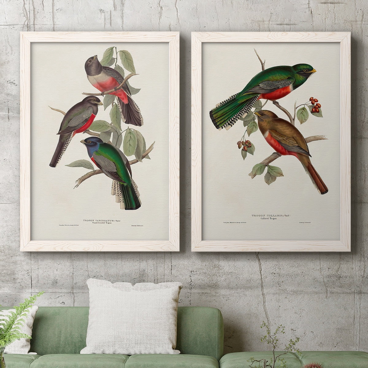 Elegant Trogons V - Premium Framed Canvas 2 Piece Set - Ready to Hang