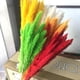 thumbnail image 5 of Phagmites De Hierba De Pampas Secas Pequeñas Decoración De Fragmitas Pequeños De Pampas Pequeños De Hierba De Decoración De Flores Secas Para Bodas En El Hotel Cateissary HA044444-02, 5 of 6