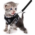 thumbnail image 2 of LAICAIW Dog Harness and Leash Set for Walking, Soft Mesh Adjustable Easy Control Lightweight Cat Vest Harnesses with Reflective Strips, Escape Proof Small Dogs Cats Vests, 2 of 7