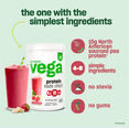 Vega Protein Made Simple Vegan Protein Powder US Caramel Toffee (9.1oz, 10 Servings)