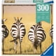 thumbnail image 3 of Ravensburger Rompecabezas Adultos: Momentos - Zebra 300 piezas blanco Estándar, 3 of 3