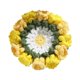 thumbnail image 2 of Posavasos de ganchillo con forma de flor, bonito regalo, protector de mesa, tapete aislante para taza Amarillo, 2 of 9