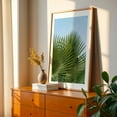 thumbnail image 3 of Fan Palm II - Photography Unframed Wall Art Print 8 x 12 inches, 3 of 60