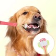 thumbnail image 1 of Pet Toothbrush for Dogs and Cats Triple Head Soft Care Oral Hygiene Kit Easy Grip Handle Plaque Removal, 1 of 3