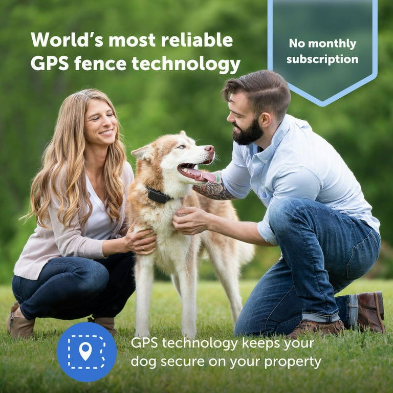 PetSafe Guardian GPS Add A Dog Collar