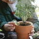 thumbnail image 5 of 5 piezas de sembradoras multifunción para tierra, jardinería, verde, 5 of 5