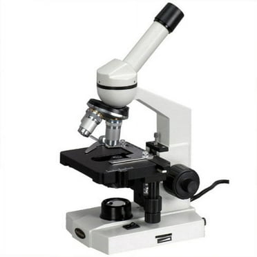 Parts Of A Compound Light Microscope Rheostat