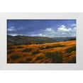 thumbnail image 1 of Braithwaite, Bruce 32x22 White Modern Wood Framed Museum Art Print Titled - Western Ridge, 1 of 4