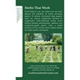 thumbnail image 2 of Traditional Medicinals Lemon Balm Herbal Tea Organic, 16 Ct 3 Pack, 2 of 3
