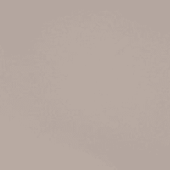 Taupe Fog