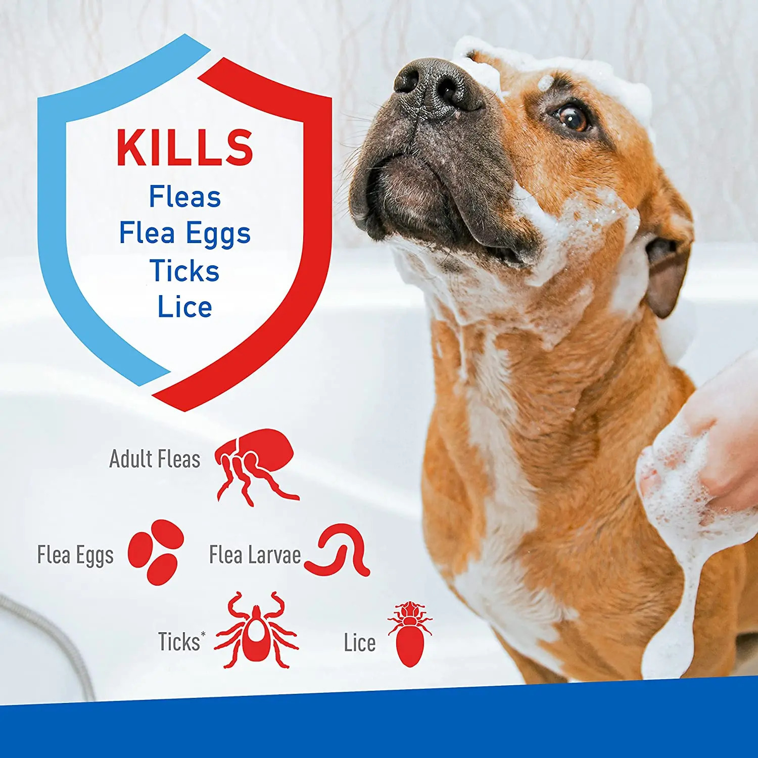 ADAMS Plus Flea & Tick Shampoo with Precor for Cats, Kittens, Dogs & Puppies Over 12 Weeks Of Age, Sensitive Skin Flea Treatment, 12 oz