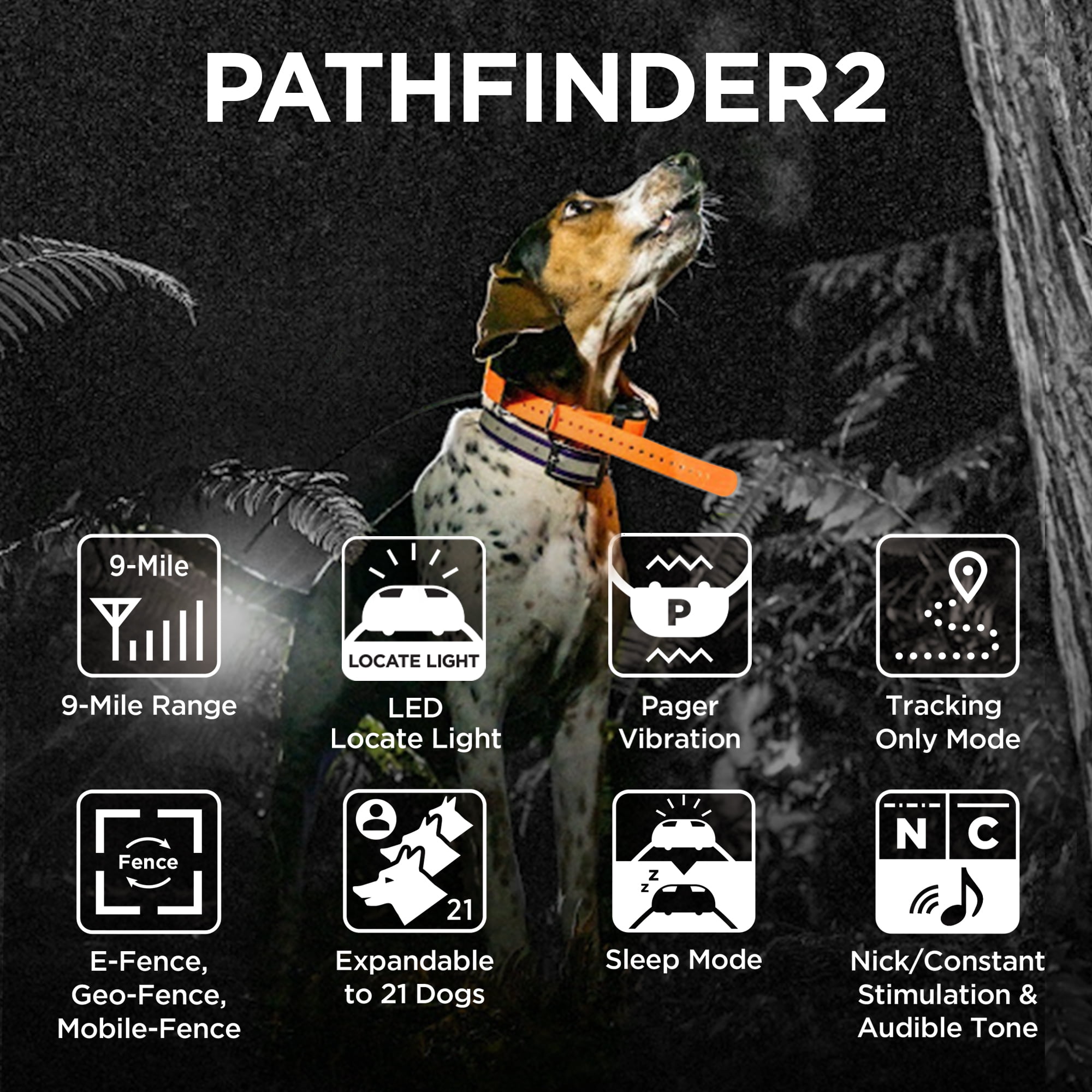 Dogtra Pathfinder 2 Additional Receiver Black Dog GPS Tracker e Collar Green LED Light No Monthly fees Free App Waterproof Smartwatch Control Real Time Tracking Long Range Smartphone Required