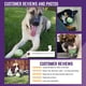 thumbnail image 4 of Fetch Ball Chew King Glowing para perros con lanzador de bolas, 4 of 18