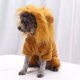 thumbnail image 3 of Divertidos disfraces de león para mascotas, disfraz de Halloween, ropa cálida para perros, 3 of 8