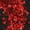 D-Red, variant on Women's Holiday Tops Valentine's Day Sparkle Sequin Heart Sweatshirt Casual Loose Long Raglan Sleeve Round Neck Pullover Daily Wear Red XXXL
