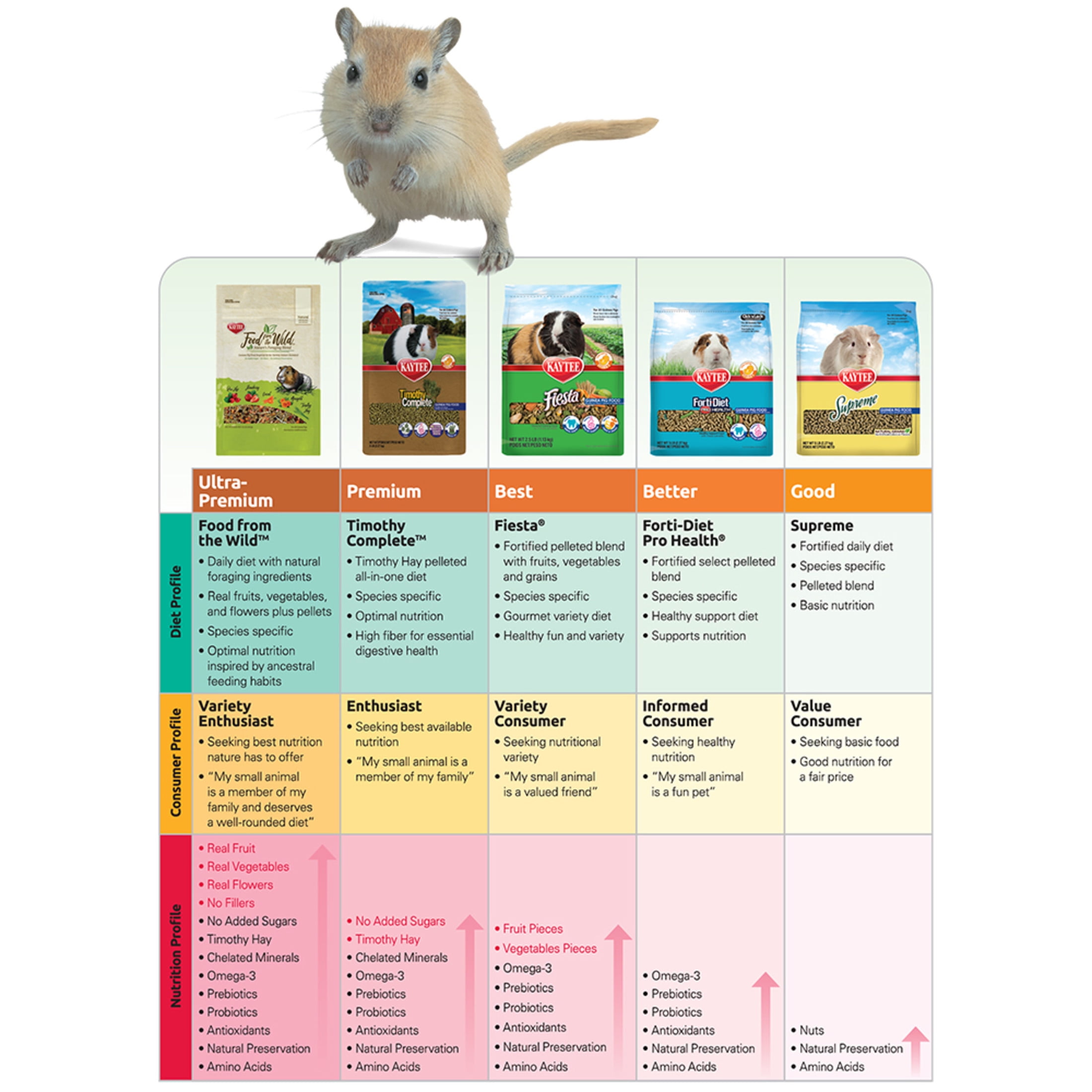 Kaytee Fiesta Hamster and Gerbil Food 4.5 lb Fortified Gourmet Diet Walmart