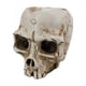 thumbnail image 1 of Skull Head Resin Planter, Halloween Decoration Retro Human Skull Head Flower Pot Planter, Skull Plant Pot Art Decor for, Cute Planters, 1 of 5