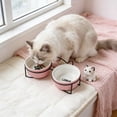 thumbnail image 2 of Ceramic Pet Bowls Cats Dog Non Tipping Food and Water Dishes Double Bowl Set for Feeding and Drinking Suitable for Small To Medium Sized Dogs and Cats, 2 of 6