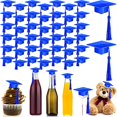 thumbnail image 1 of wonima02 60 Pieces Mini Graduation Cap Blue Hats with Blue Tassels Plastic Grad Cake Supplies Cover Toppers for Graduation Party Decorations, 1 of 1