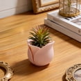 thumbnail image 4 of Cheapark Rose Shaped Planter Flower Pot Succulent Holder Cute Floral Design Indoor Home Living Room Desktop Decoration, 4 of 6