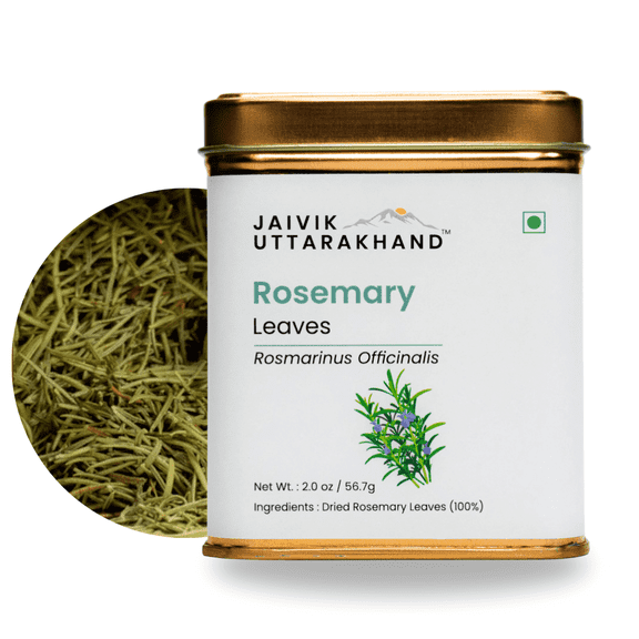 Jaivik Uttarakhand - Rosemary Leaves Tea (2 oz), Caffeine-Free, Zero Sugar, Calming, Detox, 1 TinCan