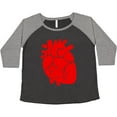 thumbnail image 3 of Inktastic Anatomical Heart Women's Plus Size T-Shirt, 3 of 5
